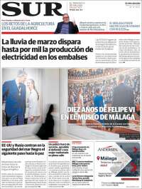 Diario el Sur